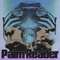 Palm Reader - DREAMERS, Big Boi & UPSAHL lyrics