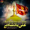 Ali Badshah Hai - Single album lyrics, reviews, download