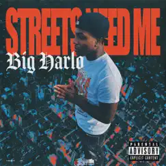 Streets Need Me by Big Harlo album reviews, ratings, credits
