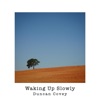 Waking Up Slowly - Single