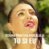 Tu Si Eu - Single