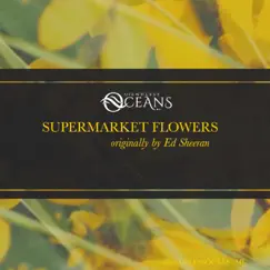 Supermarket Flowers - Single by Endless Oceans album reviews, ratings, credits