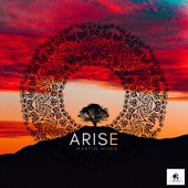 Arise artwork