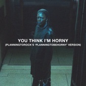 You Think I'm Horny (Planningtorock's 'Planningtobehorny' Version) artwork