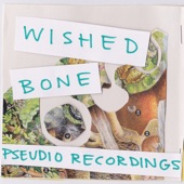 Wished Bone - High and Lonesome