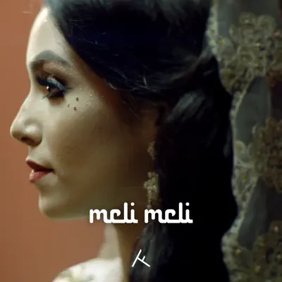 Meli Meli (feat. Ronnie Flex) - Single - Ali B