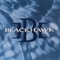 Down in Flames - BlackHawk lyrics
