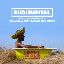 Toast to our Differences (feat. Jaykae, Cadet & Shungudzo) [Remix] - Single - Rudimental