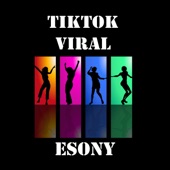 Tiktok Viral artwork