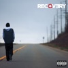 Recovery (Deluxe Edition), 2010