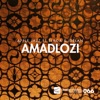 Amadlozi (feat. Slaga & Idelan) - Single