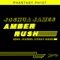 Amber Rush - Joshua James lyrics