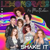 Shake It (feat. Mia Rubin) artwork