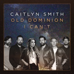 I Can't (feat. Old Dominion) (Acoustic) - Single