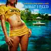 Stream & download What I Need (feat. Dash & Show Money) - Single