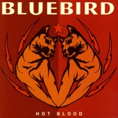 Bluebird - Falling Back to Earth