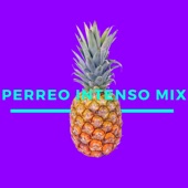 Perreo Intenso Mix artwork