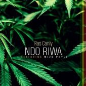 Ndo Riwa (feat. Mizo Phyll) artwork