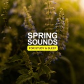 Spring Sounds For Study & Sleep artwork
