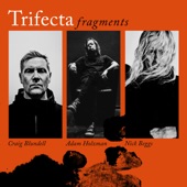 Trifecta - The Enigma Of Mr. Fripp