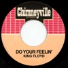 Do Your Feelin' - Single