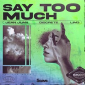 Say Too Much artwork