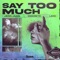 Say Too Much artwork