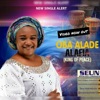 Seun Makanjuola - Alade Alafia