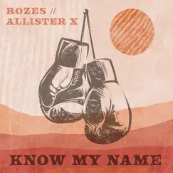 Know My Name - Single by ROZES & ALLISTER X album reviews, ratings, credits