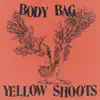 BODY BAG (feat. Ryan Mitchell Grey) - Single album lyrics, reviews, download