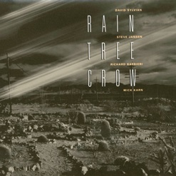 RAIN TREE CROW cover art