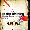 In the Evening (feat. Nuria Swan) - Single