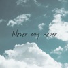 Never Say Never - Single