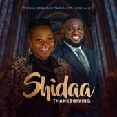 Shidaa (Thanksgiving) [feat. MOGmusic] artwork