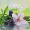 Spa Music 2021: Massage, Relax & Wellness album lyrics, reviews, download