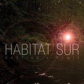 Hábitat Sur (Bástian V Remix) artwork