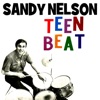 Teen Beat / Big Jump - Single