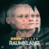 Stream & download Raumklang