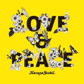 LOVE & PEACE artwork