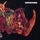 Rhinoceros - I Will Serenade You