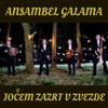 Jočem Zazrt v Zvezde - Single