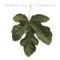 All Across the Western World - Caedmon's Call lyrics