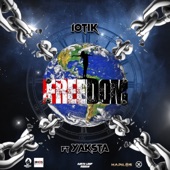 Freedom (feat. Yaksta) artwork