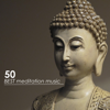 50 Best Meditation Music - Zen Background Music for Meditation Techniques and Deep Breathing Exercises (50 Zen Tracks) - Relaxing Mindfulness Meditation Relaxation Maestro