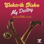 My Destiny (Remixes) - EP artwork