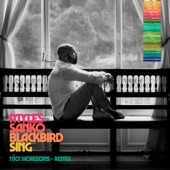 Blackbird Sing (Mo' Horizons Remix) artwork