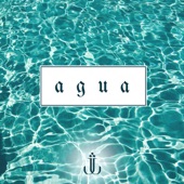 Agua artwork