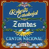 Zambita del Musiquero artwork