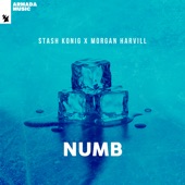 Numb artwork