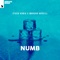 Numb artwork